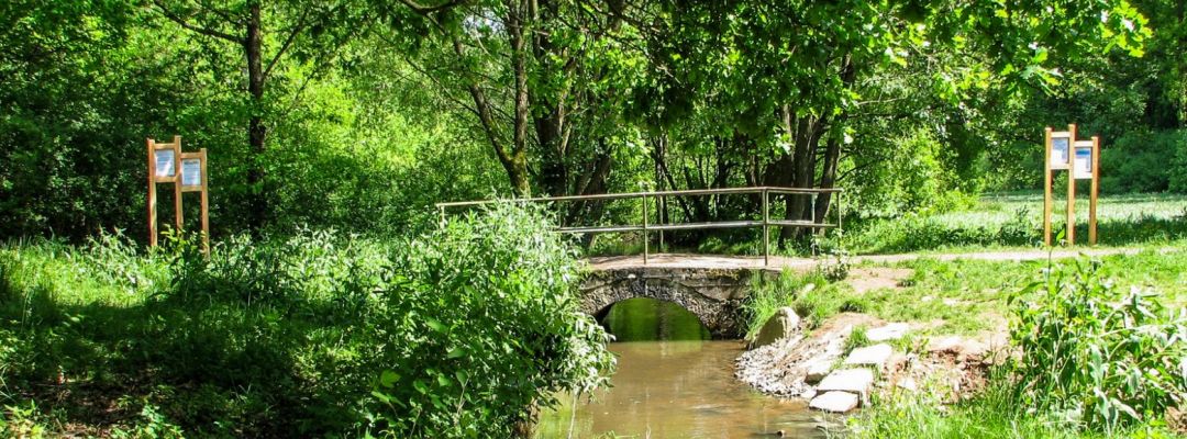 Naturwissenspfad Eselsbachtal Naturwissenspfad Eselsbachtal