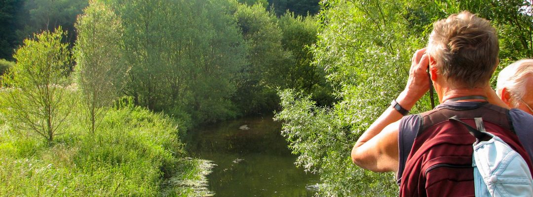 Blick auf die renaturierte Lauter (Foto: NABU KL) Blick auf die renaturierte Lauter (Foto: NABU KL)