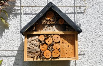 selbst gebautes Insektenhotel (Foto: Lenz)